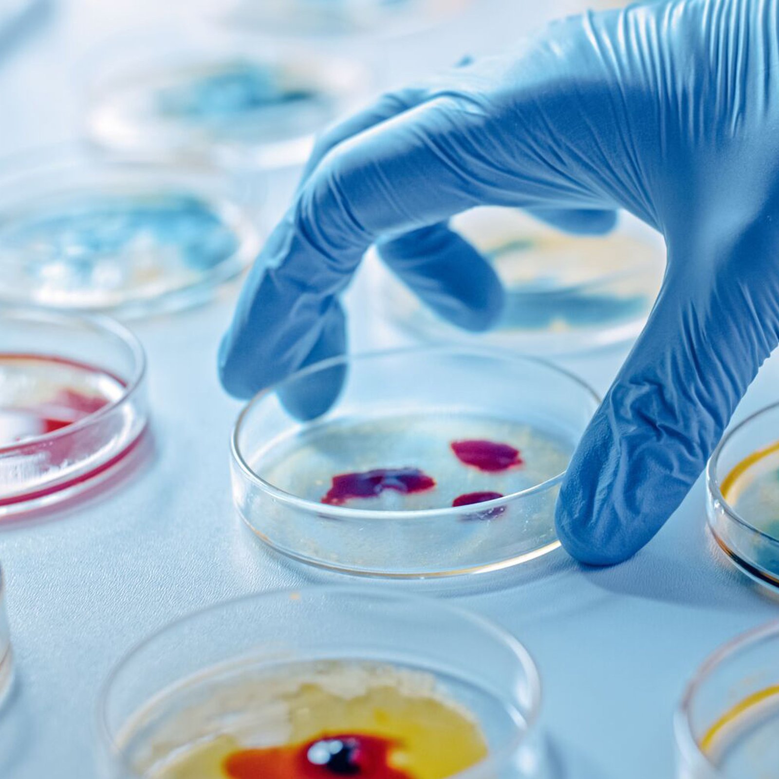 microbiology course